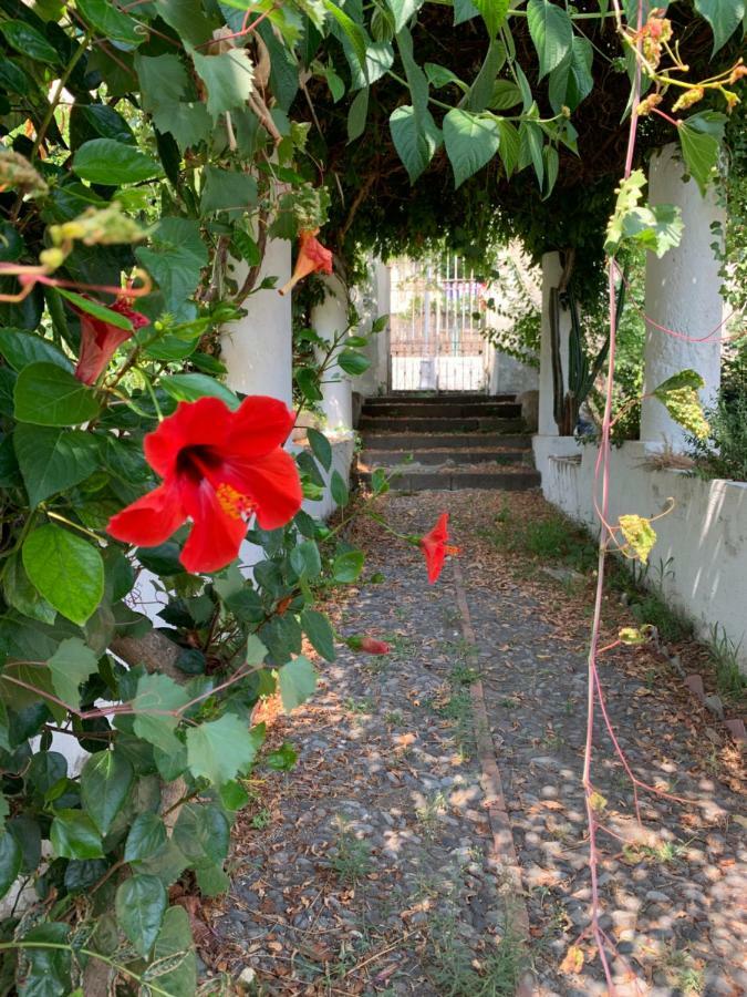 Casa Diana Arianna Leilighet Lipari  Eksteriør bilde